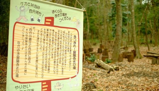 【コラム】居場所づくりと秘密基地